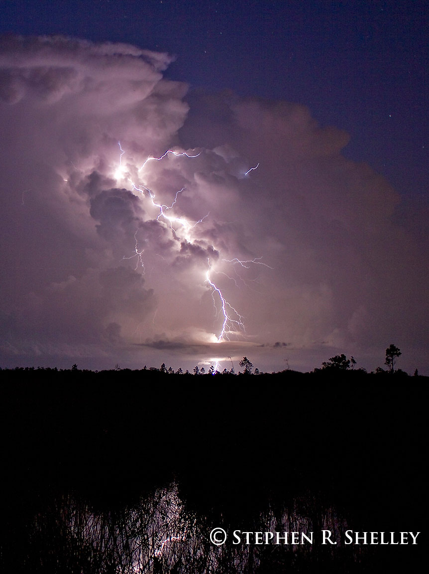 Everglades Night Lightning